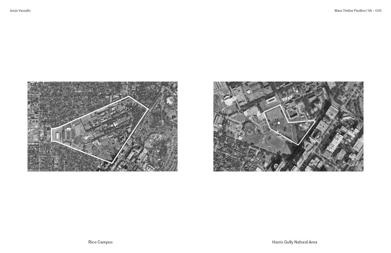 Mass Timber Pavilion aerial site plan