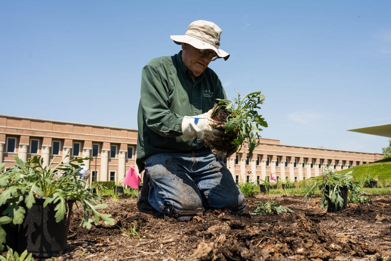 Photo of man (Wallace Ward of the Native Plant Society)