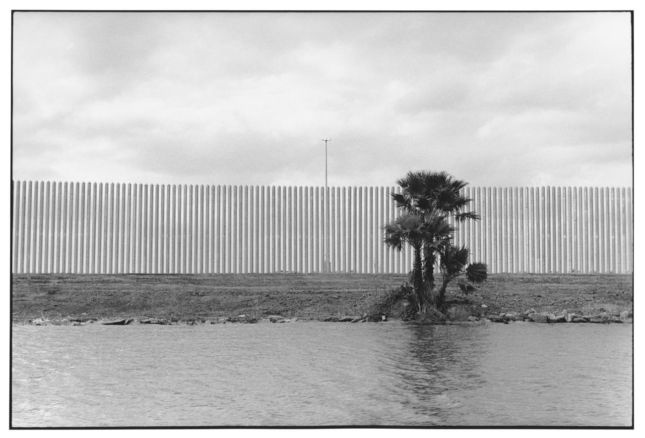 Tall fence with thin slits foregrounded by a single tree and a body of water