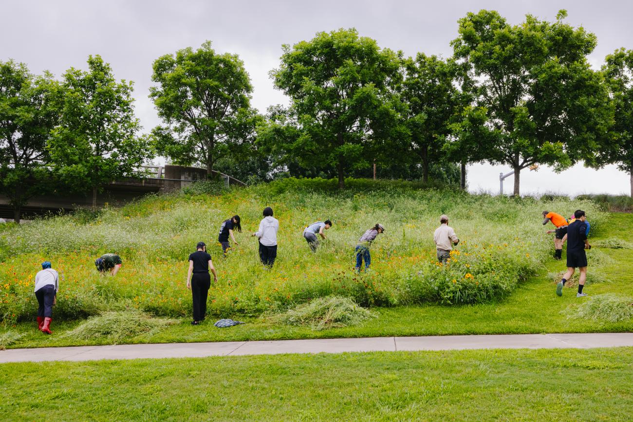 A group of people cleaning litter in a large field with tall grass