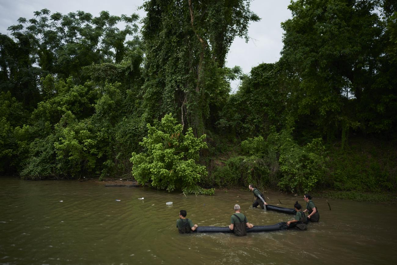 A small group wades through the bayou with a large net