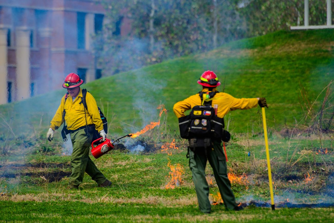 controlled burn image