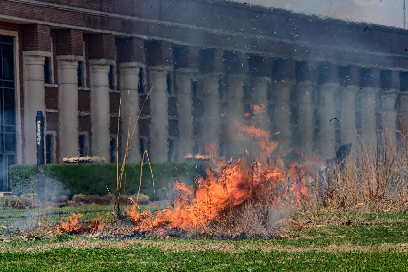 Image of burning plot of land being controlled by a firefighter