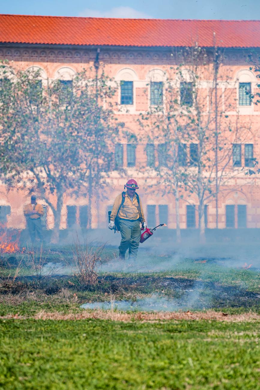 controlled burn image