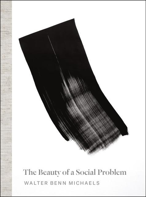 Book cover that reads: The Beauty of a Social Problem